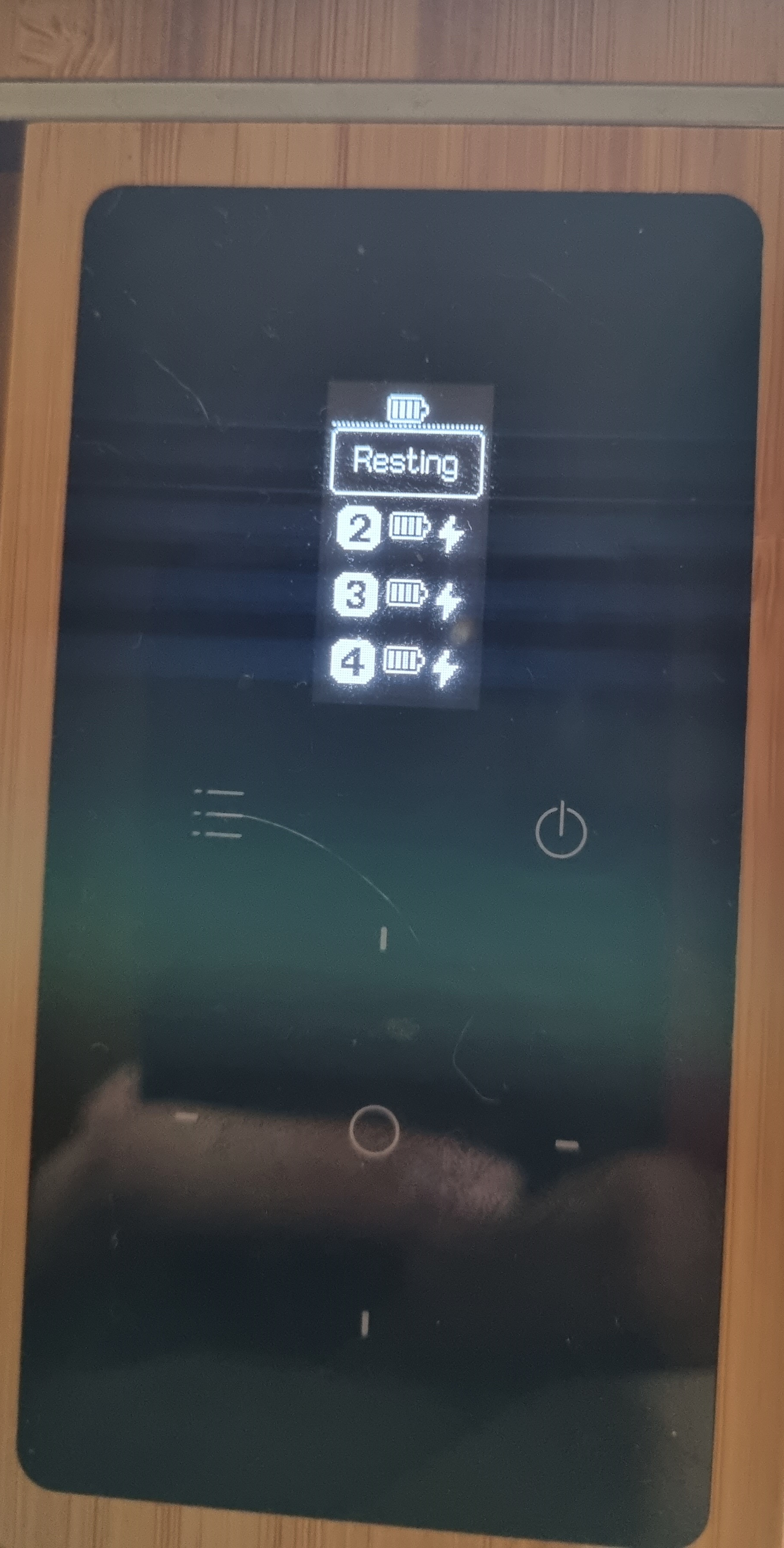 MEATER Block Standalone Cook - 5 - Rest 2.jpg