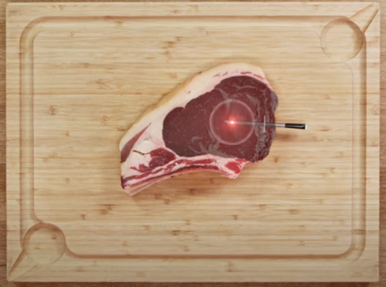 Internal sensor placmente in meat - Alpha collection.png