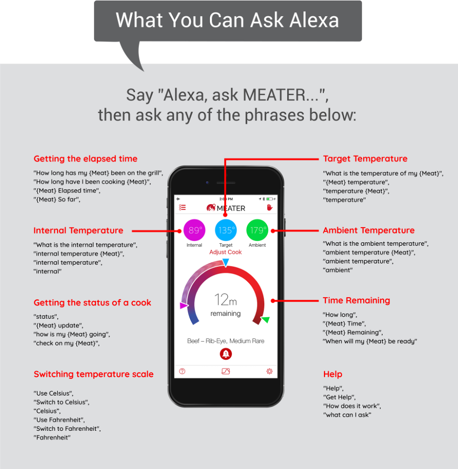 ask alexa.png