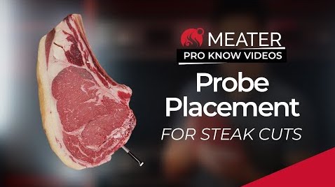 Steak Probe Placement video